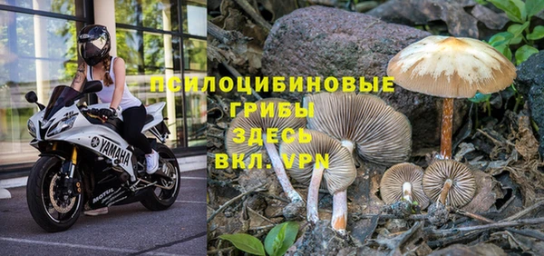 молекула духа Верея