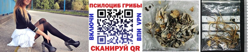 Галлюциногенные грибы Magic Shrooms  MEGA вход  Вытегра 
